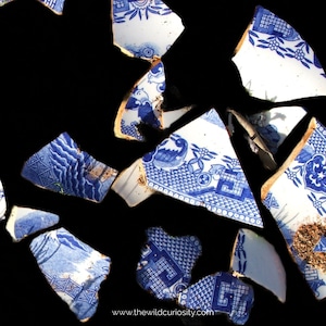 Peut inclure: Fragments de céramique cassée avec des motifs bleus et blancs sur fond noir. Les morceaux brisés présentent des motifs floraux et géométriques, avec des signes d'usure. Le site web www.thewildcuriosity.com est visible en bas de l'image.