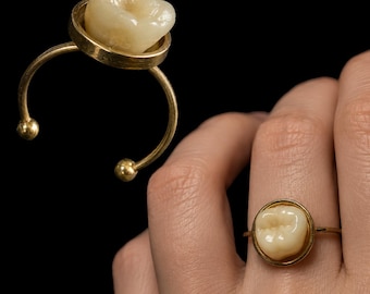 Human Molar Tooth Ring | Faux Bones | Gold Jewellery | Handmade Rings | Memento Mori | Macabre | Gift Ideas