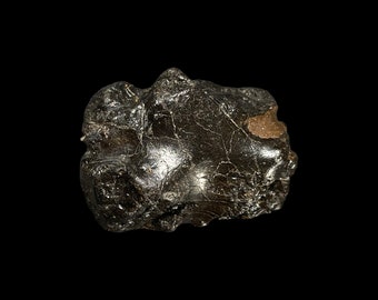 Partial Greensand Ammonite | ‘Cat Paw’ | 47mm | RARE Fossil Ammonites | 100M YEARS OLD | British Fossils | Prehistoric Gifts