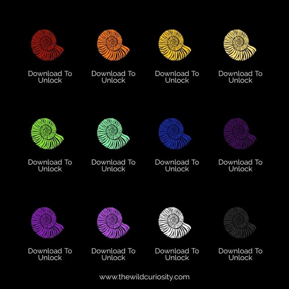 Nuancier de bague d'humeur Guide téléchargeable Conception d'ammonites  Idées cadeaux