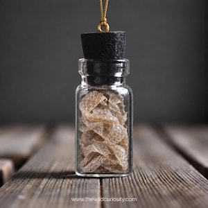 Könnte beinhalten: Eine kleine, durchsichtige Glasflasche, gefüllt mit einer strukturierten, hellbraunen Schlangenhaut. Die Flasche ist mit einem schwarzen Korken verschlossen und hat oben eine goldfarbene Metallöse zum Aufhängen. Der Text www.thewildcuriosity.com ist sichtbar.