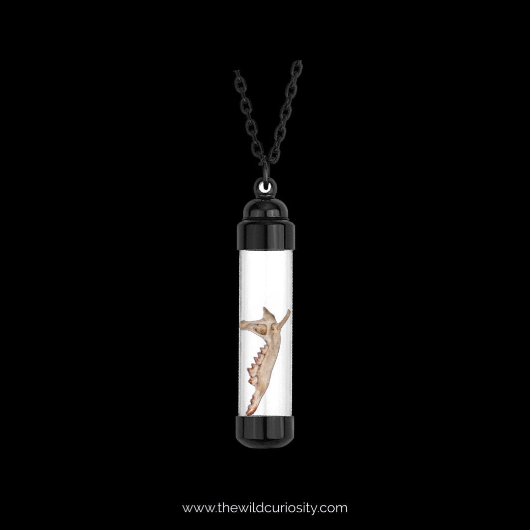 Mammal Jaw Bone Pendant | Vintage Style Necklace | Gothic Jewellery | Handmade Jewellery