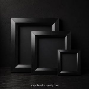 May include: Three black picture frames of varying sizes arranged in a stepped formation. Each frame features a wide, flat border and a solid black interior. The text "www.thewildcuriosity.com" is printed in white at the bottom centre.