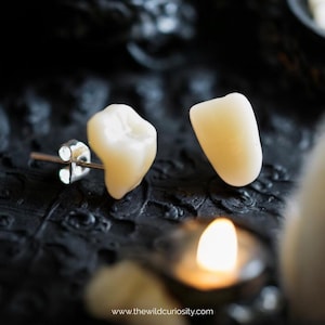 Human Tooth Earrings | Select Style | Memento Mori | Macabre | Gothic Handmade Jewellery | Vintage Dentist | Accessories | Gift Ideas