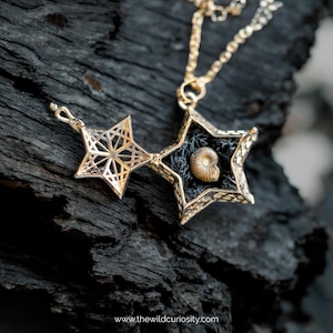 Star Locket & Chain with Genuine Fossil Ammonite | Unique Pendant | Ocean Jewellery | Seashell Necklace | Mermaid Gift Ideas