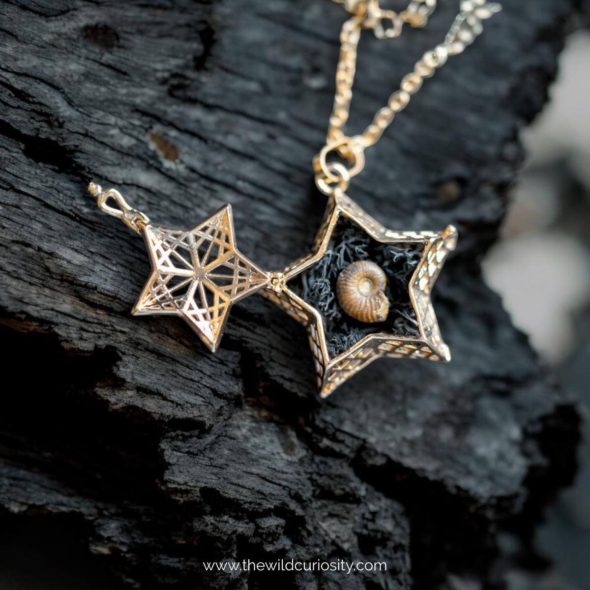 Star Locket with Genuine Fossil Ammonite | Unique Pendant | Ocean Jewellery | Seashell Necklace | Mermaid Gift Ideas