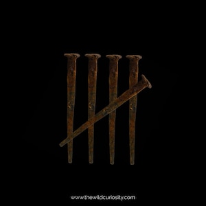 Rusty Coffin Nails (unpolished) | Victorian | Rusted Metal | Christmas Gifts | Stocking Filler