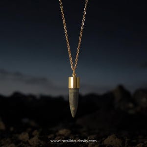 Puede incluir: Un collar de cadena dorada con un colgante con forma de bala. El colgante est&aacute; hecho de metal oscuro con una parte superior dorada.