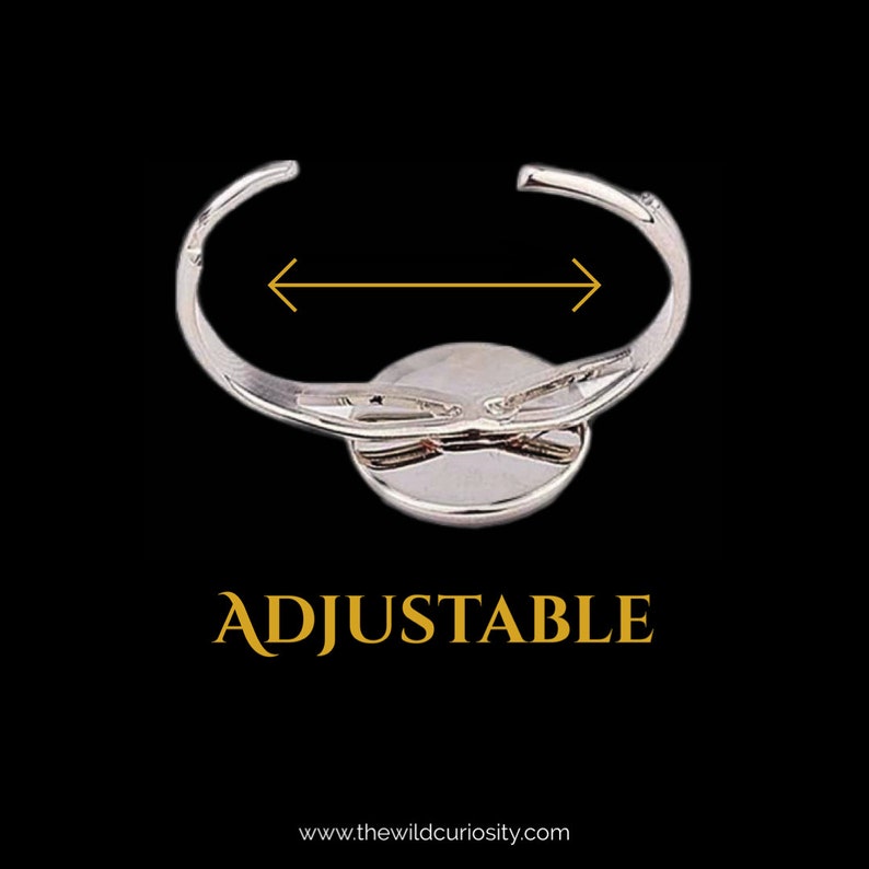 May include: Silver adjustable ring with a round, silver-toned center piece. The ring is adjustable and the text "ADJUSTABLE" is printed below the ring.