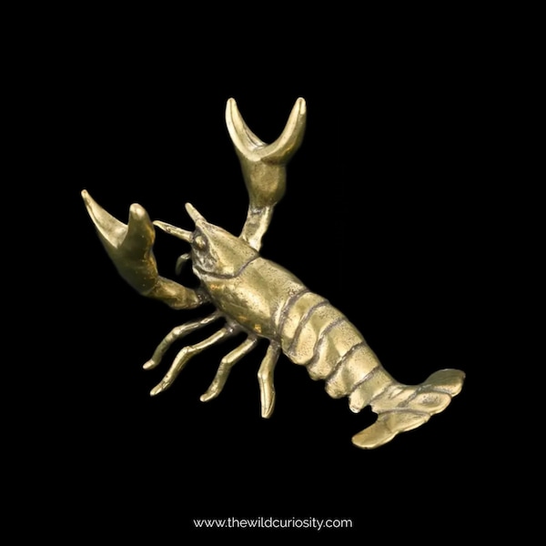Brass Lobster Ornament | Pen Holder | Solid Metal Crustacean | Miniature Figurine | Handcrafted Gifts | Vintage Collectible | Gold Decor