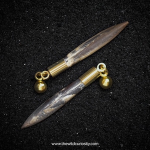 Jurassic Schmuck: Echtes Fossil Belemnit Ohrstecker | 1x Paar | Versteinerte Punkte | Gothic handgemachter Schmuck | Geschenkideen
