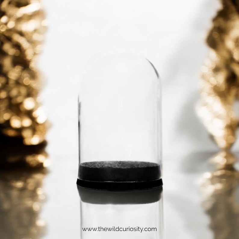 May include: A clear glass dome with a black base sits on a white surface. The dome is empty and has a rounded top.