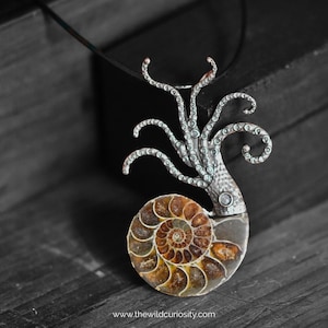 May include: A pendant necklace with an ammonite fossil and a silver octopus design. The fossil shows a spiral pattern in brown and gold. The necklace is set against a dark backdrop. The website www.thewildcuriosity.com is visible.
