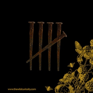 May include: A black background with five rusty nails arranged vertically, forming the Roman numeral 'V'. A single rusty nail is placed diagonally across the other nails, creating a 'X'. The image is overlaid with a gold-colored design of a vine with leaves, butterflies, and bees.