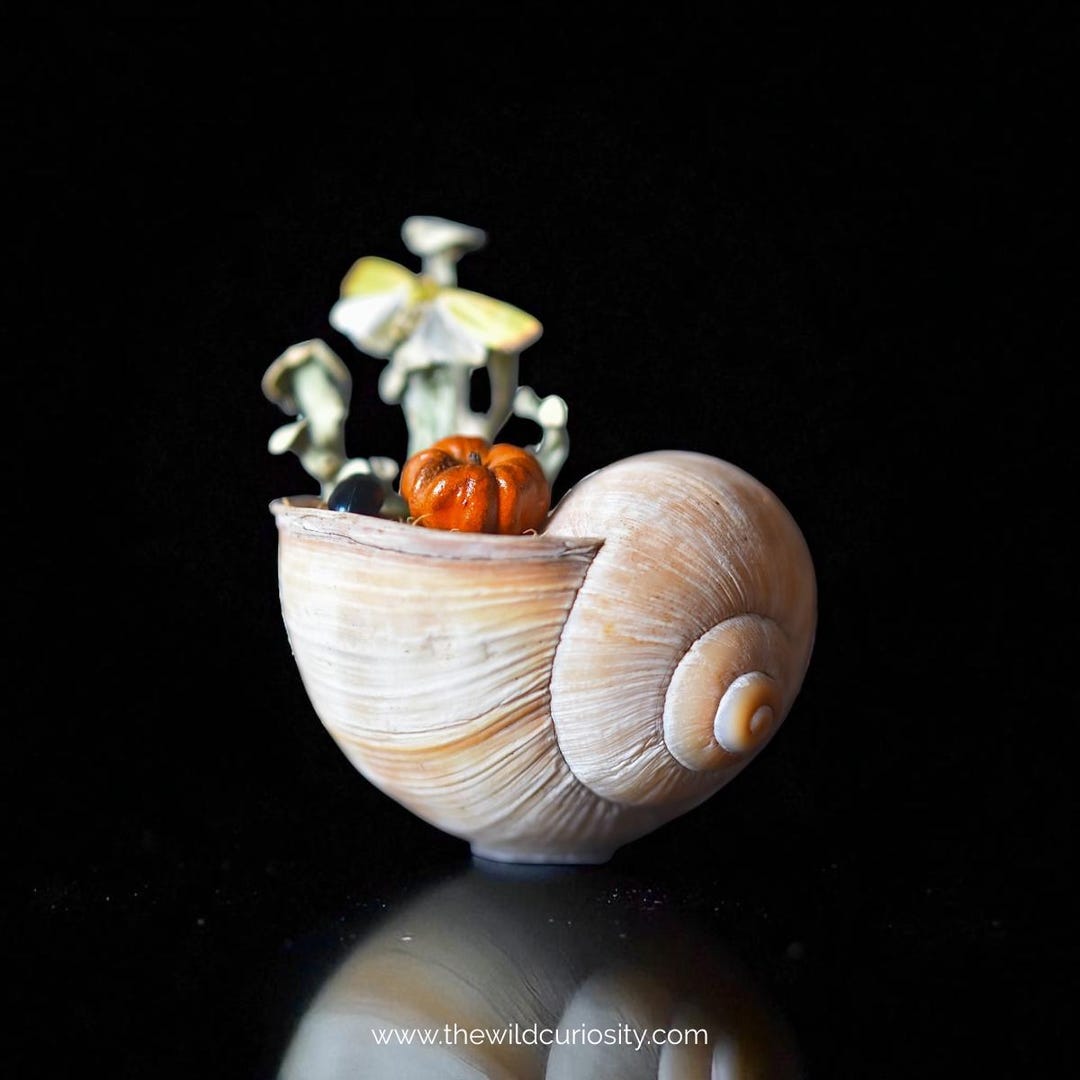 Autumn Oddity Snail Display in Glass Dome Jar | Fall Displays ...