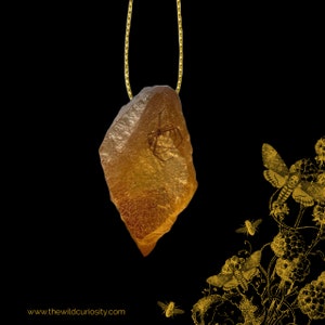Oddity Ornament | Replica Amber with Real Insect | Halloween Decor | Hanging Decor | Gothic Decor
