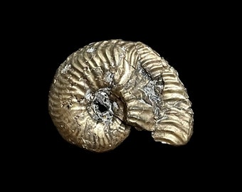il_340x270.5092063000_6i8y.jpg