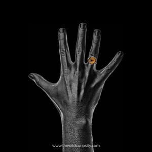 May include: A black hand with a gold ring with a brown stone on the ring finger.
