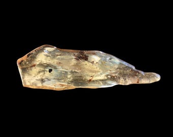 Fossil Copal with Insect & Spider Inclusions | Genuine Fossils | Madagascar | Prehistoric Curio | Amber | Curiosities