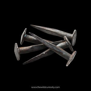Minature Victorian Coffin Nails | Vintage Tacks | Antique Metal | Gothic Home and Decor