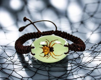 May include: A bracelet featuring a central oval-shaped, pale green resin cabochon containing a preserved spiny orb-weaver spider. The cabochon is set into a dark brown braided cord band with adjustable pull strings. The text www.thewildcuriosity.com is visible.