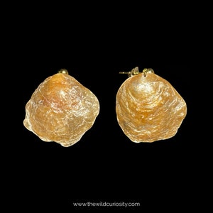 Golden Jingle Shell Earrings | 1x Pair | Elegant Sea Shells | Gold Handmade Jewellery | Natural Stud Earrings | Gift Ideas