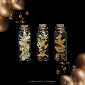 May include: Three small glass bottles with cork tops, each filled with dried yellow and white flower petals. The bottles are arranged in a row against a black background.