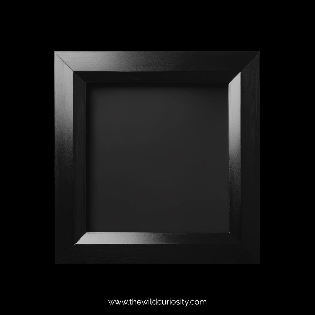 Matte Black Deep Shadow Box | Plain Display Frame | Box Frame | Wall ...