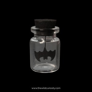 Miniature Floating Specimen in Glass Curio Jar | Dark Art | Curiosities | Fun Gift Ideas