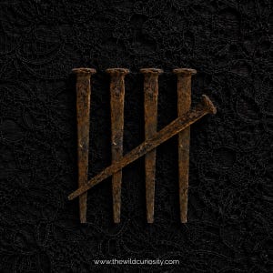 May include: Five antique, rusted iron nails arranged in a tally mark pattern. Four nails are positioned vertically, while the fifth nail is placed diagonally across them. The text www.thewildcuriosity.com is printed at the bottom center.