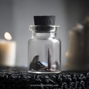 May include: A small glass jar with a black lid, containing several rusty nails. The jar is sitting on a black surface with a website address printed on it: www.thewildcuriosity.com.