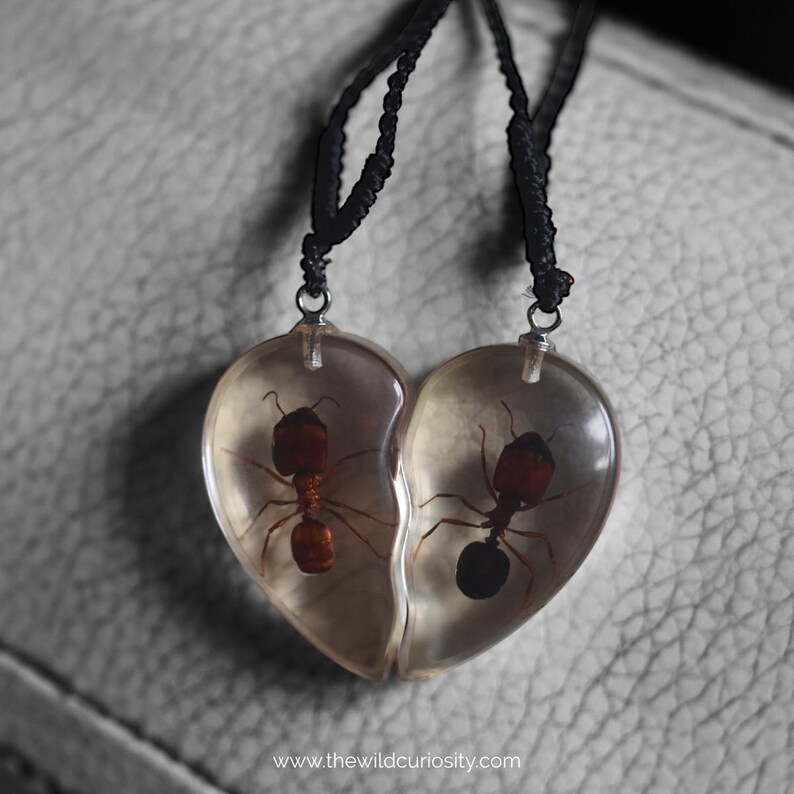 Insect Half Heart Pendant | Couples Necklace | Split Jewellery | Broken ...