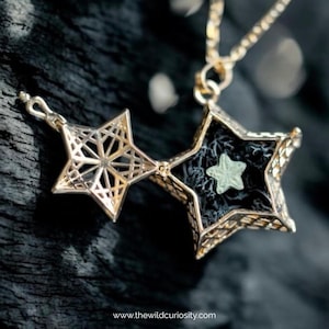 Medallón de estrella dorada con crinoideo fósil auténtico / Colgante único / Joyería oceánica / Collar de estrella de rock / Ideas de regalo de sirena