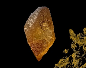 琥珀色のサソリ樹脂標本 本物の昆虫 埋め込み 透明 クリア 化石 ルー