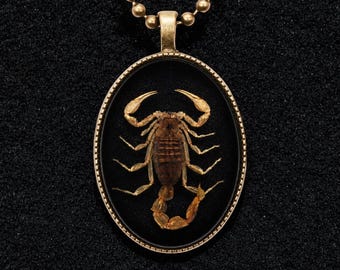 Colgante de escorpión vintage / Joyería gótica hecha a mano / Collar / Ideas de regalo