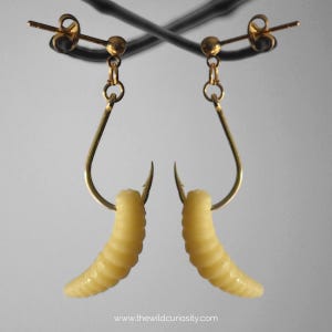 May include: A pair of gold earrings with a worm-shaped charm hanging from each hook. The worm is a pale yellow colour and has a textured surface.
