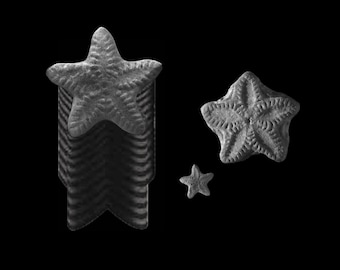 Star Stone Fossil x 6 | Stems | Fairy Coin Stack Fossils | Crinoids | Stars | Prehistoric Creature | Gifts | Curiosities