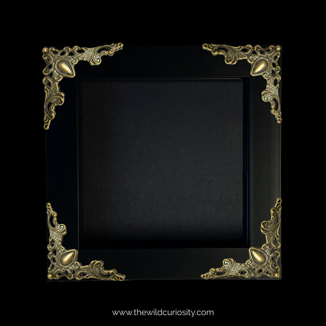 Black Deep Shadow Box Display Frame | Ornate Baroque Style | Arts and Crafts Corners | Box Frame | Gothic Decor | Wall Art