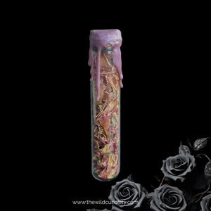 Dried Rose Petals in Curio Jar | Naturally Scented Petals | Potpourri | Home Decor | Rich Fragrance | Gifts