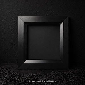 May include: A square black picture frame with a wide, flat border and a matte finish. The frame features a deep, recessed centre area and is positioned upright. The text "www.thewildcuriosity.com" is printed in small white letters at the bottom.