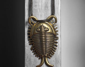 May include: A brass-colored pendant necklace featuring a detailed trilobite design. The fossil-inspired pendant hangs from a black cord. The website address www.thewildcuriosity.com is visible at the bottom of the image.