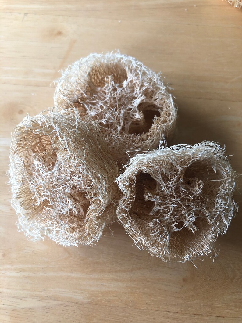 Luffa Scrubbers - 3 Pack - Etsy