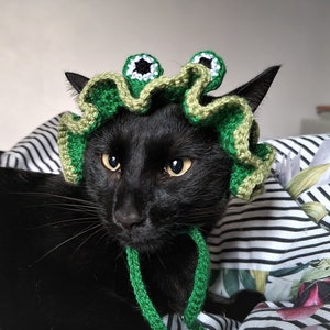 Crochet hats for pets