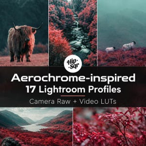 Puede incluir: Un gráfico digital que presenta cinco fotografías de paisajes y naturaleza con una estética infrarroja distintiva, mostrando follaje rojo vibrante, una vaca de las Tierras Altas, ovejas y una cascada. El texto dice Hip Sqr Aerochrome-inspired 17 Lightroom Profiles Camera Raw + Video LUTs.