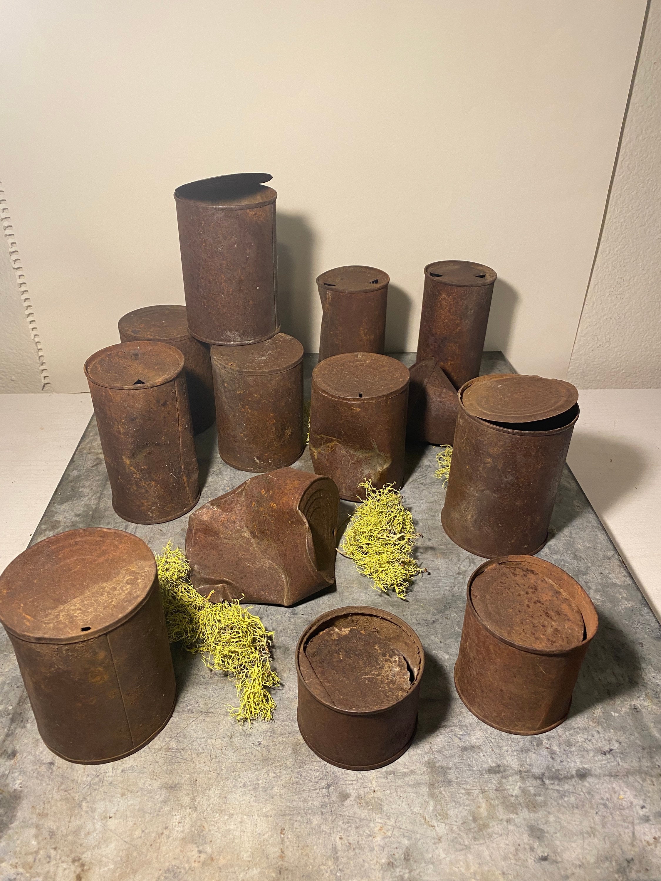 Tin Cans Rusty Cans Vintage Cans Assemblage Forest Find Etsy