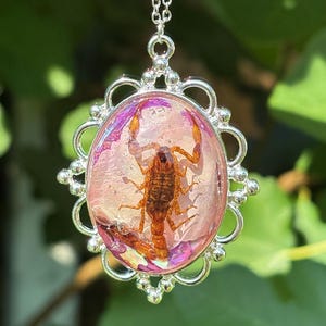 Magical Scorpion - insect art, insect jewelry, fantasy art, fantasy jewelry, nature art, nature jewelry