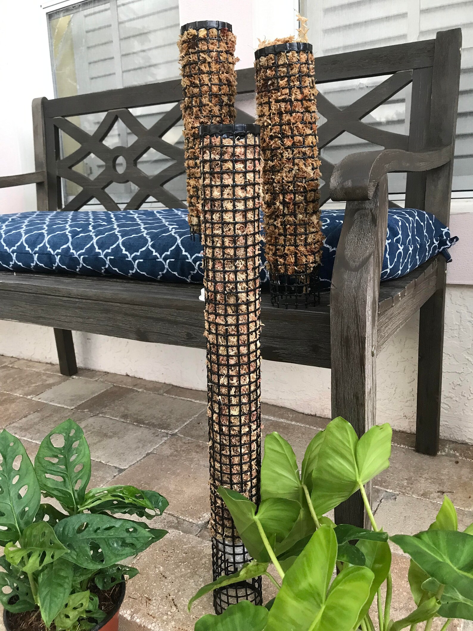 Moss Pole Selfwatering Moss Pole Etsy