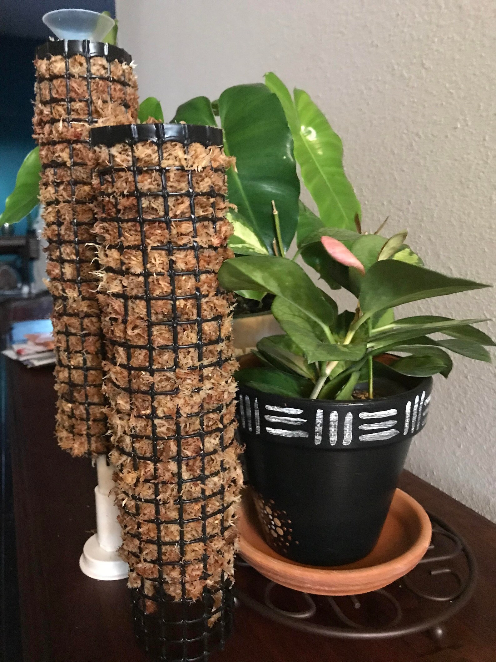 Moss Pole SelfWatering Moss Pole Etsy Polska