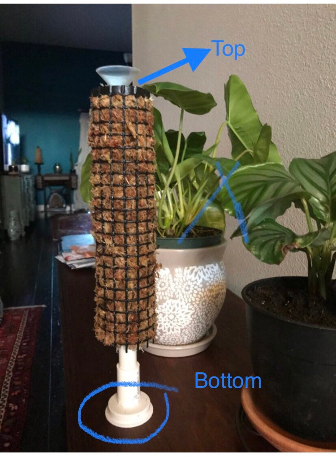 Moss Pole SelfWatering Moss Pole Etsy