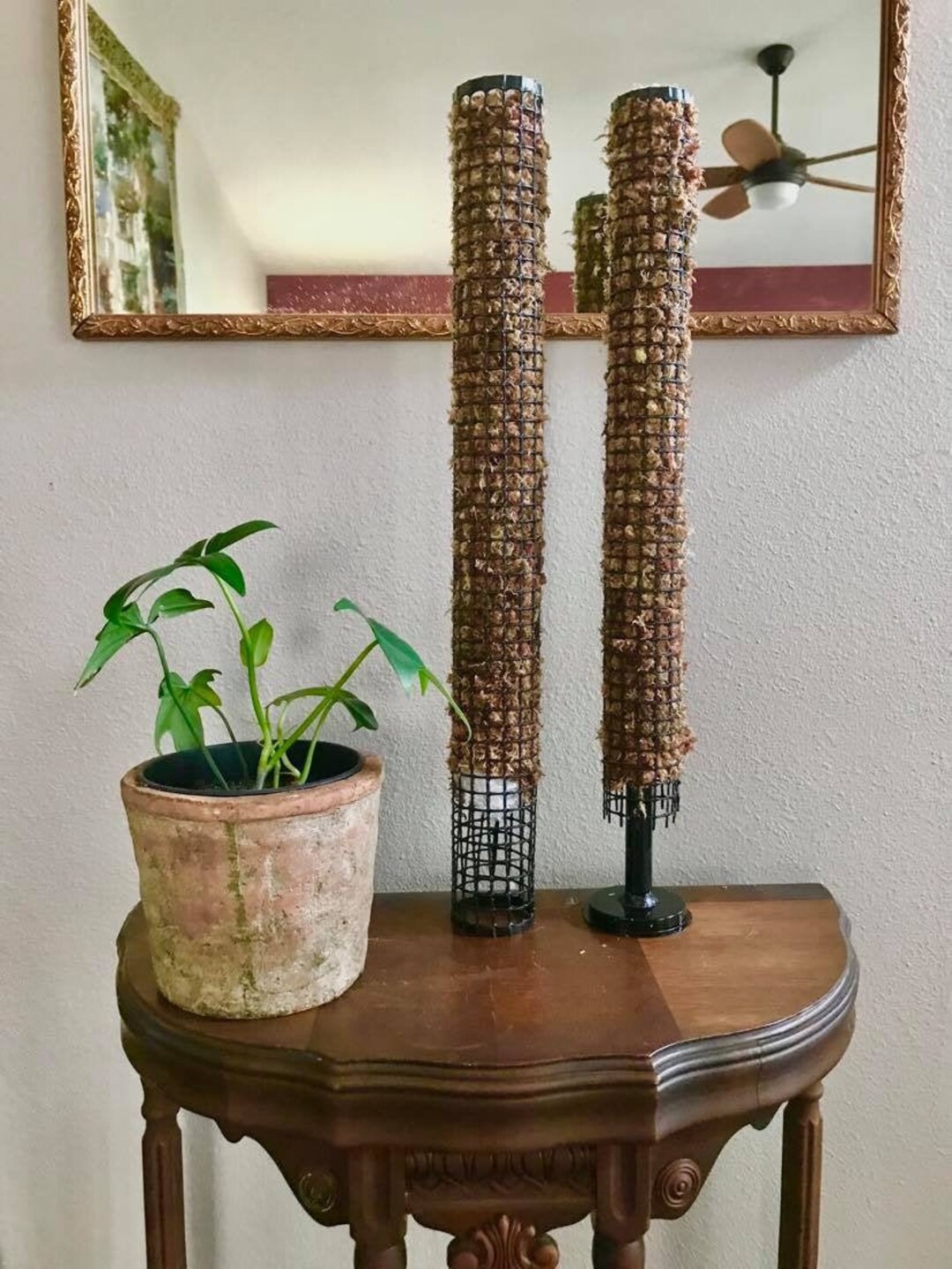 Moss Pole Selfwatering Moss Pole Etsy